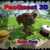 Mais informações sobre o jogo PacQuest 3D